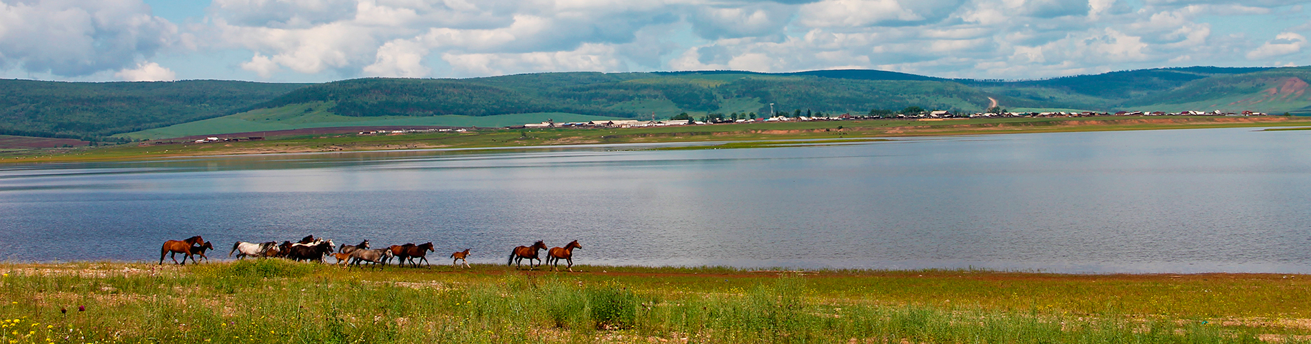 Авиабилеты Санкт-Петербург - Братск из аэропорта Пулково