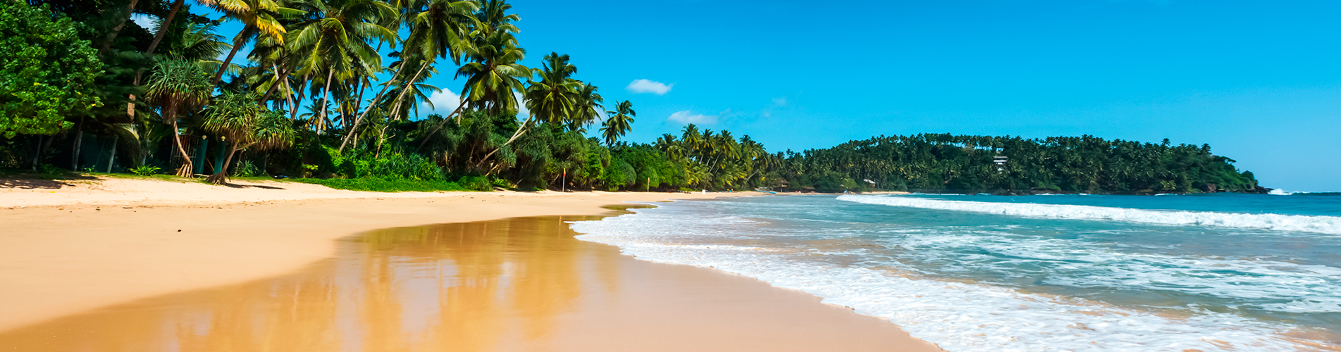 Авиабилеты Санкт-Петербург - Коломбо из аэропорта Пулково