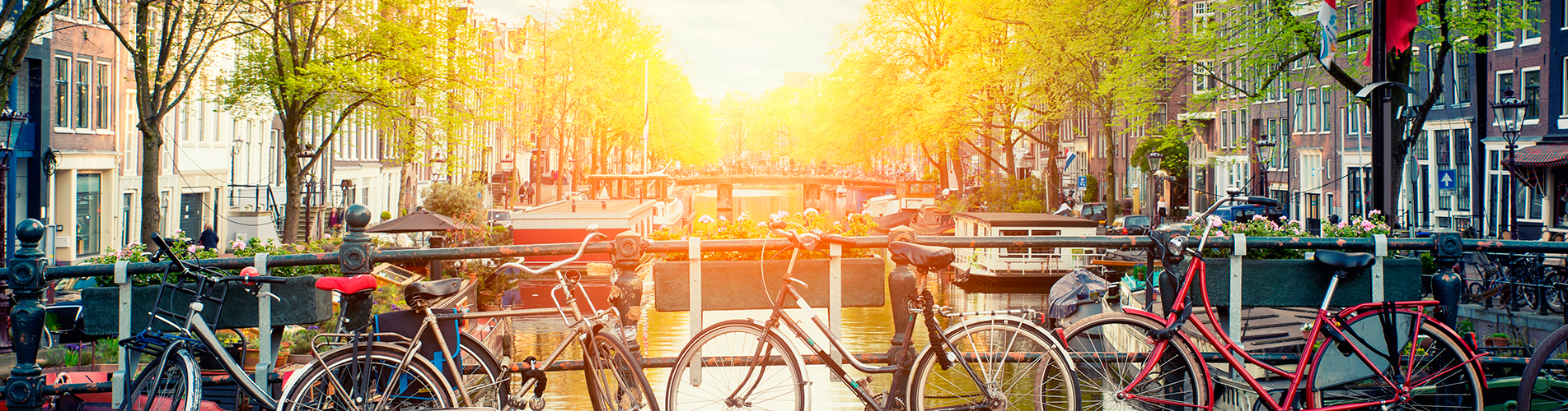 Авиабилеты Санкт-Петербург - Эйндховен из аэропорта Пулково