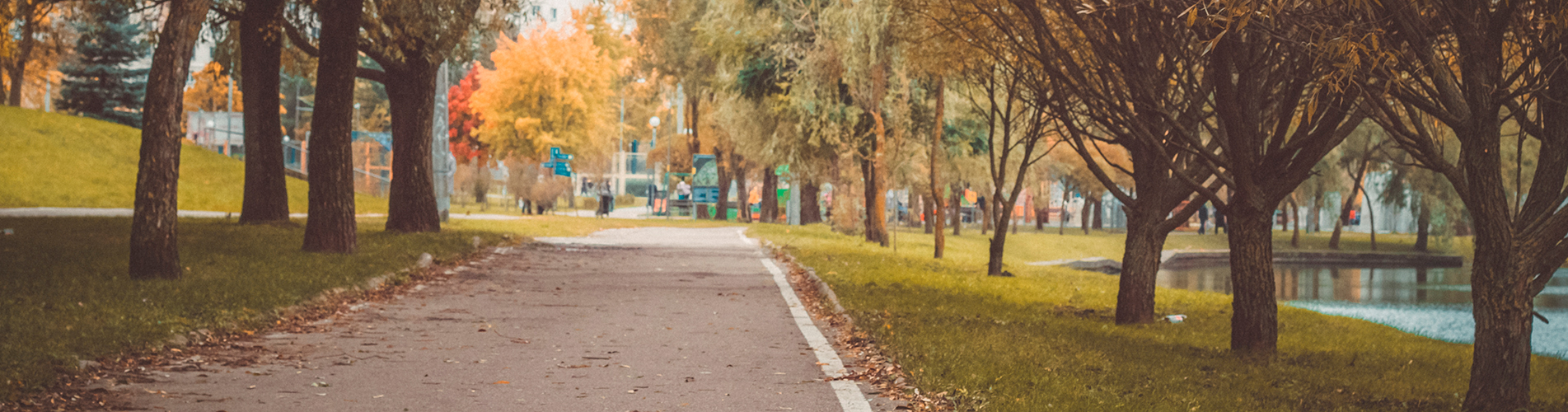 Авиабилеты Санкт-Петербург - Нальчик из аэропорта Пулково