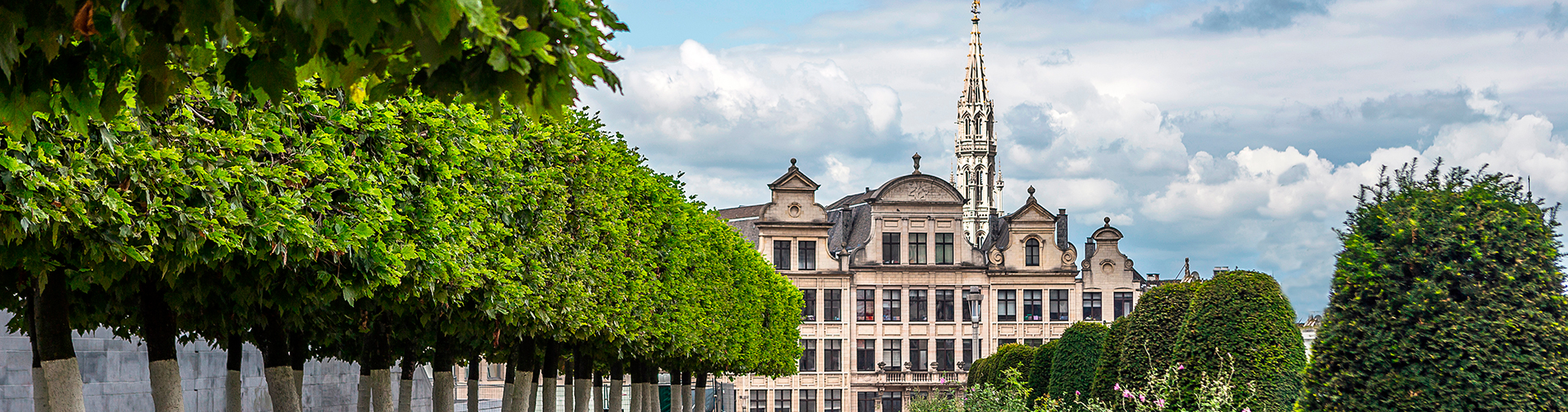 Авиабилеты Санкт-Петербург - Брюгге из аэропорта Пулково