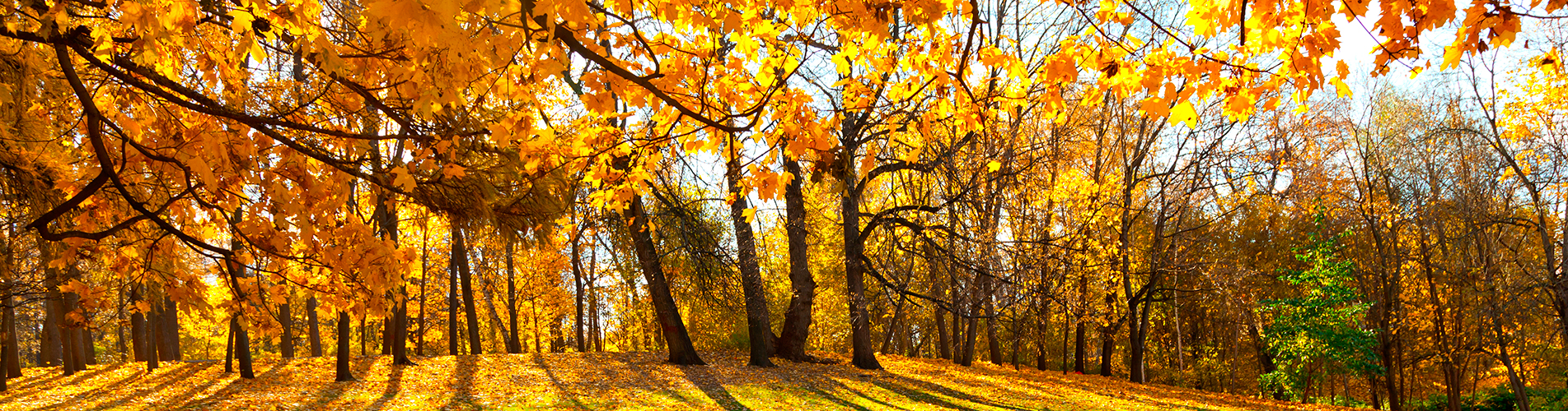 Авиабилеты Санкт-Петербург - Орск из аэропорта Пулково