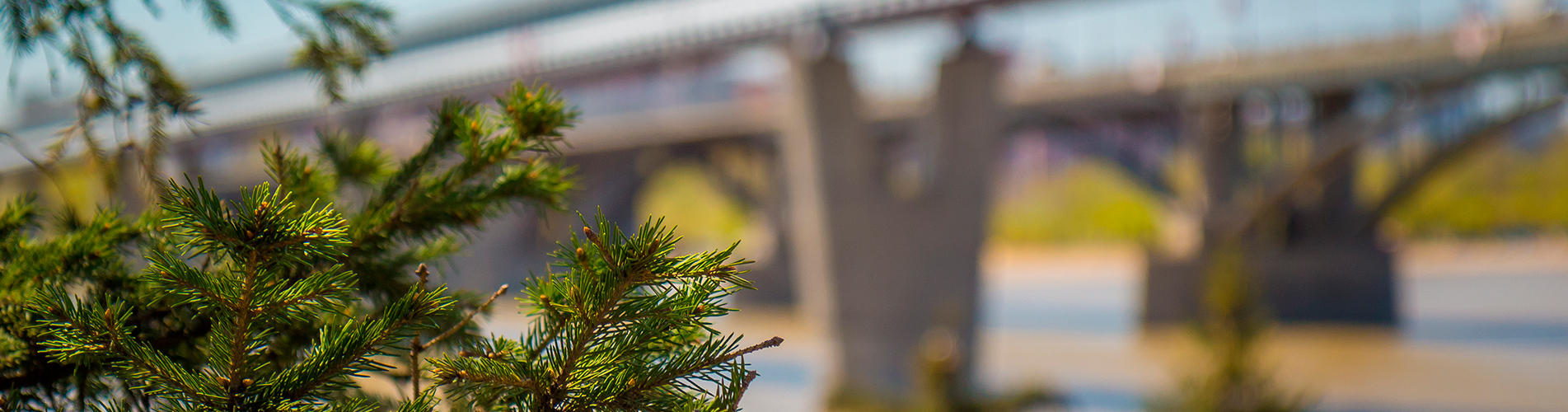 Авиабилеты Санкт-Петербург - Новосибирск из аэропорта Пулково