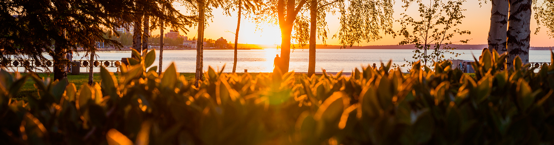Авиабилеты Санкт-Петербург - Петрозаводск из аэропорта Пулково