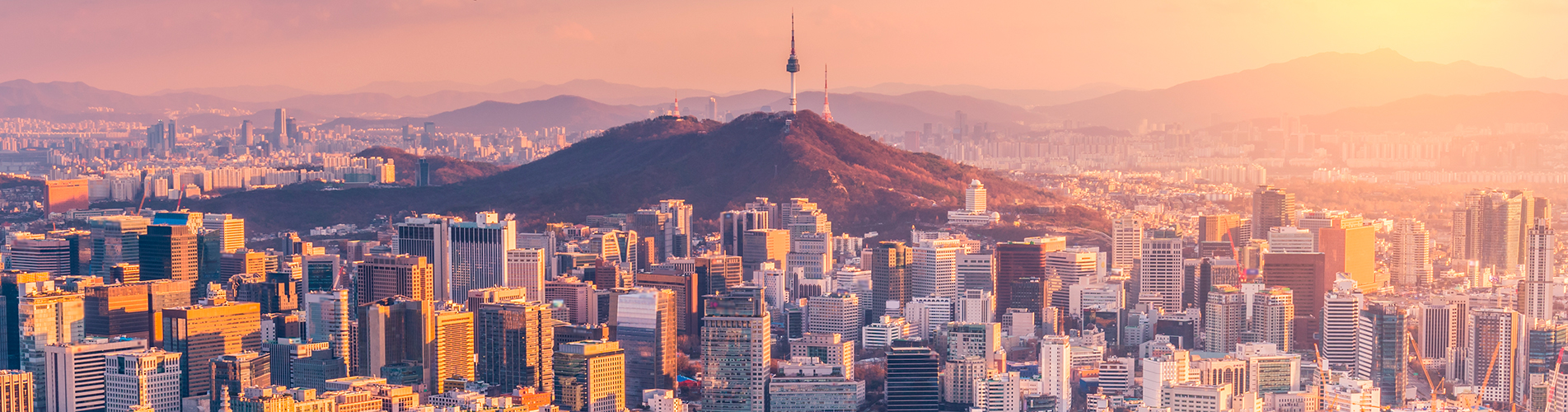 Авиабилеты Санкт-Петербург - Сеул из аэропорта Пулково