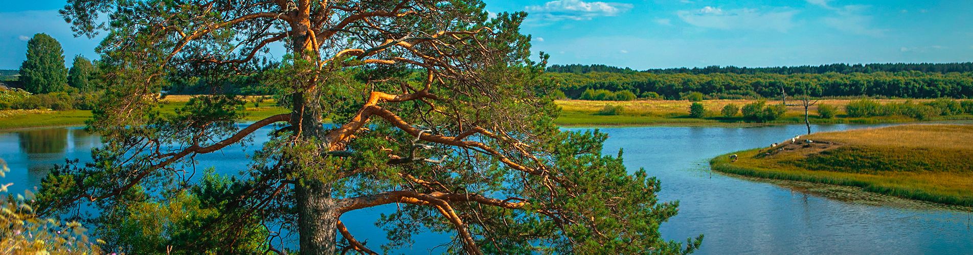 Авиабилеты Санкт-Петербург - Ухта из аэропорта Пулково