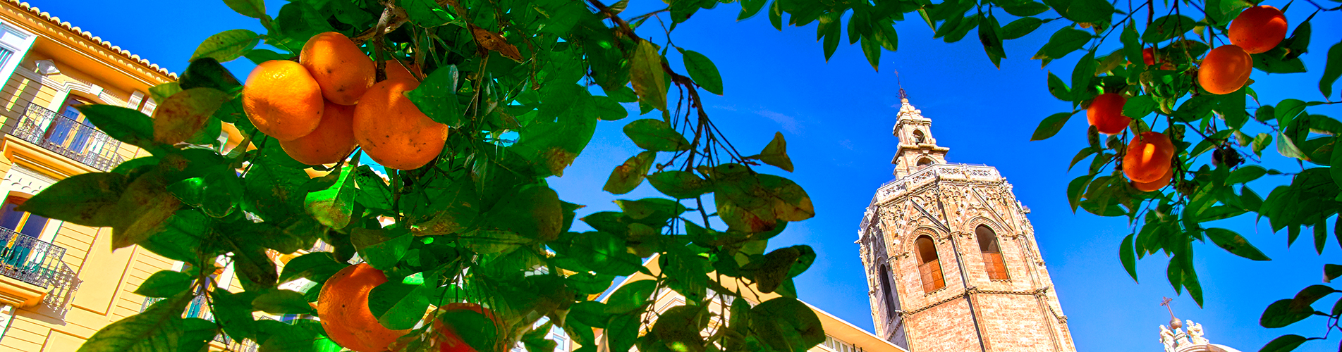 Авиабилеты Санкт-Петербург - Валенсия из аэропорта Пулково