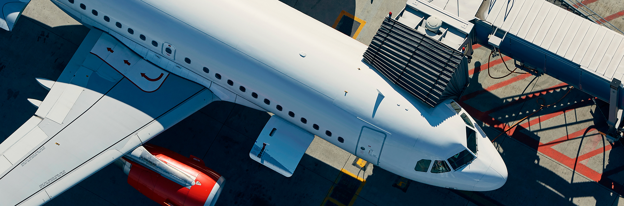 Купить авиабилеты из Санкт-Петербурга